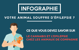 Vignette-Article-cannabis