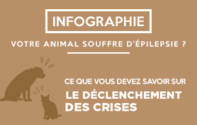 Vignette-Article-declenchement-crises