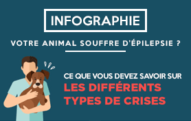Vignette-Article-types-de-crise