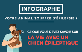 Vignette-Article-vie-avec-un-chien-epileptique